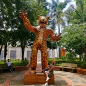 Río de Oro, Cesar