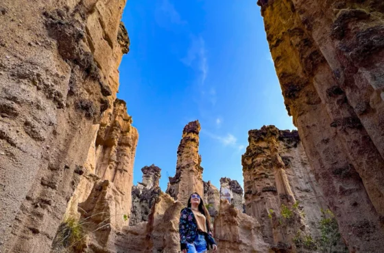 Sendero El Tamaco – Los Estoraques