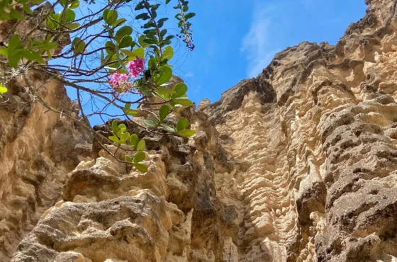 Sendero Miraflores – Los Estoraques